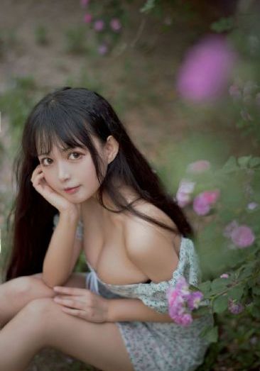 刺客伍六七在线