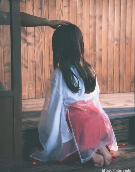 山河同在免费看