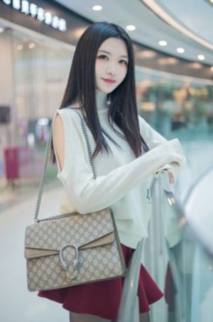 光头强动画片全集免费观看