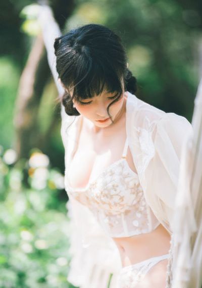 情满四合院一共多少集