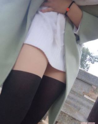 在线动画